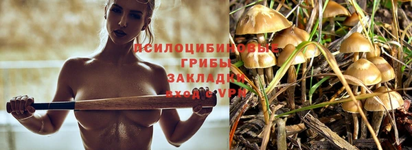 прущие крисы Бугульма