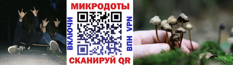 кракен маркетплейс  Бузулук  Галлюциногенные грибы GOLDEN TEACHER 